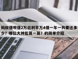 蚂蚁借呗借2万日利率万4借一年一共要还多少？哪位大神能算一算？的简单介绍