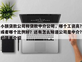 小额贷款公司和贷款中介公司，哪个工资高？或者哪个比例好？还有怎么知道公司是中介？的简单介绍